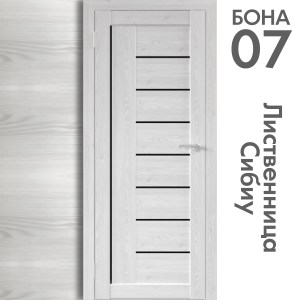 2280_7-ch-listvennicza-sibiu